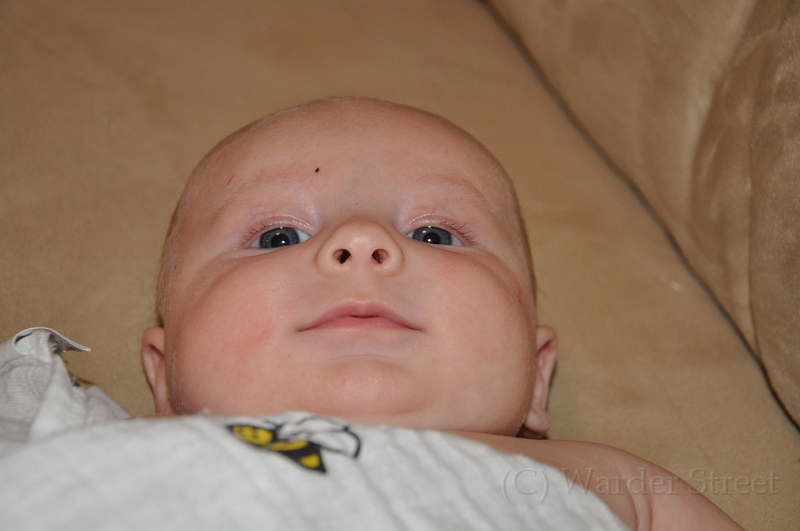 William's Tenth Week 43.jpg